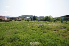 zdj106683135