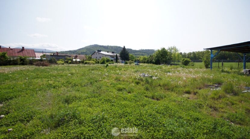 zdj106683135