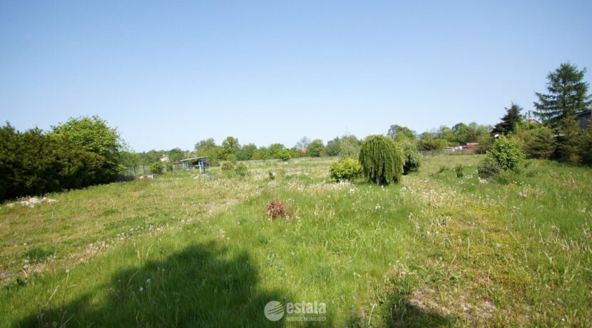 zdj106683136