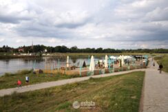 zdj110080359